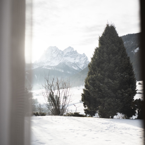 Villa Rainer